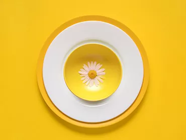 Sun Flower In The Plate